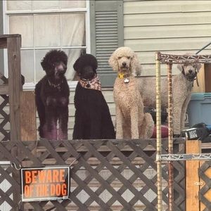 Meet your Posher, Nichole